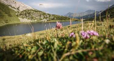 Oberhütte am See, Blick Richtung Oberhüttensattel