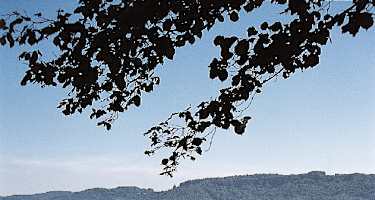 Oberhalb von Katterhorn ergibt sich eine herrliche Aussicht über den fjordartigen Untersee.