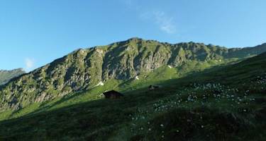 Die Almböden werden auch heute noch extensiv bewirtschaftet.