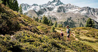 Am Weg zum Faltegartenköpfl