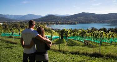 Klagenfurter Weinberg