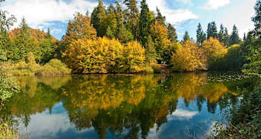 Perdsbrunner Weiher im Herbst