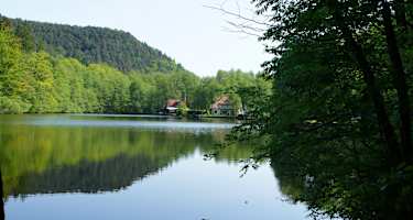 Seehof-Weiher