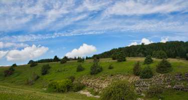 Die Landschaft um Pfronstetten