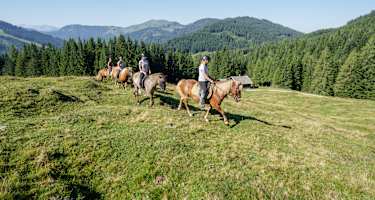 Reiten am Fuße des Hochkönigs, auf dem Weg zur Pichlalm