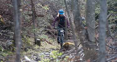 Die Auffahrt auf Wanderwegen kostet Kraft und gute Koordination. Wurzeln und Steine sind ständige Begleiter. Wer schafft es, bis oben kein einziges mal abzusteigen?