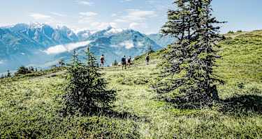 Am „Pinzgauer Spaziergang“ mit herrlicher Aussicht in den Nationalpark Hohe Tauern