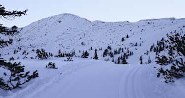 Die Höhenloipe auf der Planneralm in der Region Schladming-Dachstein am frühen Morgen. 