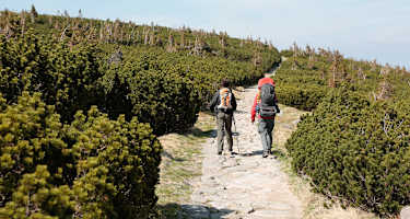 Polnisch-tschechischer Freundschaftsweg