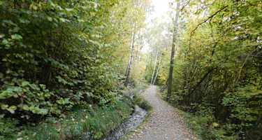 Der Rablander Waalweg im Herbst