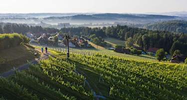 Radfahren im Schilcherland