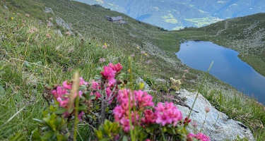 Der Radlsee mit der Radelseehütte links oben