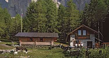 Rif. Casera di Bosconero