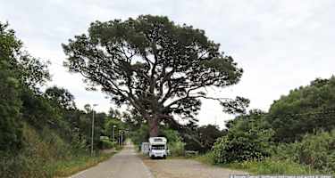 Rastplatz: Über das Bachbett (Weg 225) und leicht links, Parkplatz am Ausgangspunkt