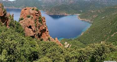 Blick vom Aufstiegsweg auf die Bucht von Girolata.