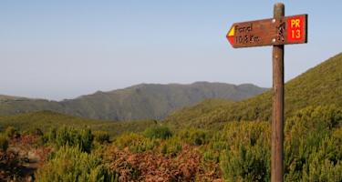 Etwa 75 m nach dem Forsthaus weist ein Schild (PR 13 Paul da Serra) in einen mit Rundhölzern gestuften Weg, der durch einen von Farnen begrünten Hang hinaufführt.