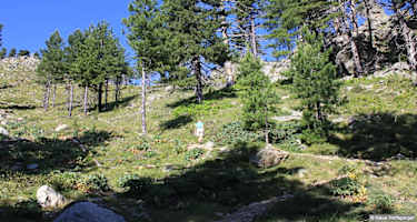 Kurz vor dem Abzweig zur Bergerie de Timozzu.