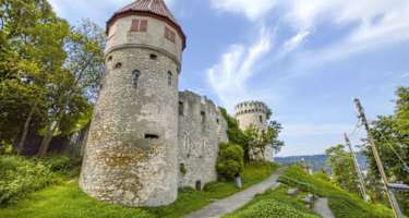 Ruine Honberg in Tuttlingen