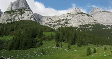 Rund um den Gosaukamm