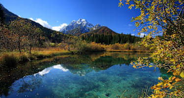 Naturreservat Zelenci