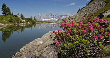 Der Spiegelsee mit Spiegelung des Dachstein Dreigesteins