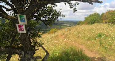 Aussicht ins Dreiländereck mit Beschilderung