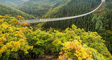 Die Hängeseilbrücke Geierlay