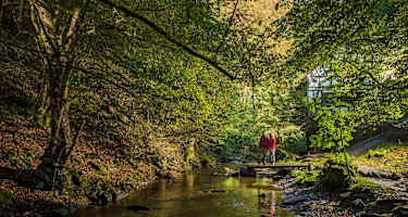 Idyllischer Bachlauf