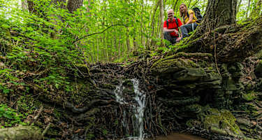 Waldabschnitt auf der 22. Etappe