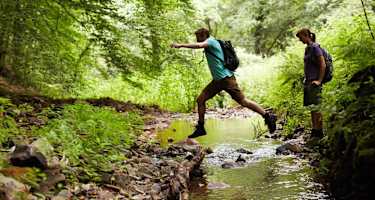 Auf dem Saar-Hunsrück-Steig