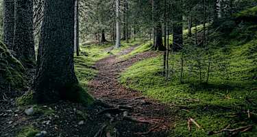 Innerferrera - Campsut - Avers