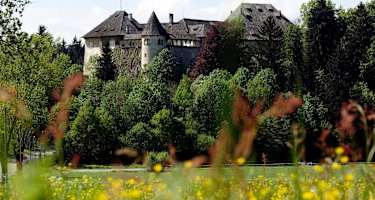 Schloss Hallegg