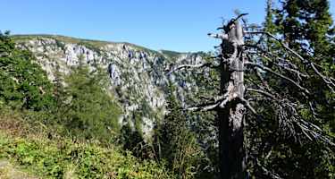 Der Aufstieg zum Schneealpenhaus ist recht einfach.