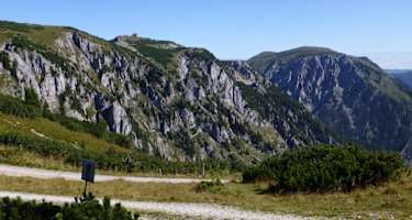 Ein breiter Forstweg führt auf die Schneealm