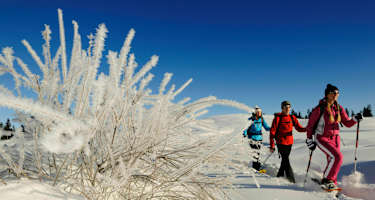 Schneeschuhtour Reit im Winkl