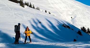 Bei Pulver und Firn fantastisch – der südwestseitige Gipfelhang am Schönalmjoch.