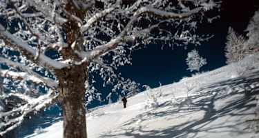 Schwarzenberg: Auf der Gipfelwiese