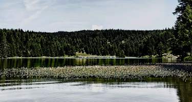 Via Vigilius - 3. Etappe: Von Unsere Liebe Frau im Walde nach Fondo