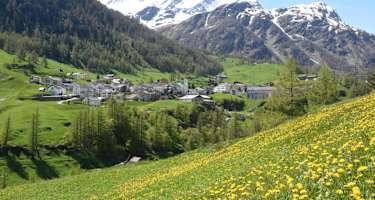 Rundwanderung Simplon Dorf
