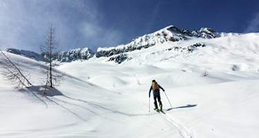 Über die schönen Hänge der Hoferalm geht es aufwärts.