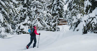 Kurz vor dem Ziel - die Graukogelhütte ist schon in Sicht.