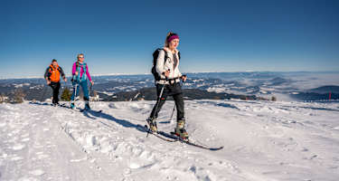 Michael Stabentheiner, Gerlitzen-Kanzelbahn-Touristik GesmbH