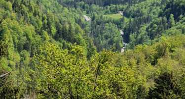 Vorbei am Falkenstein