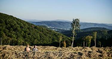 Schöne Aussicht von der Sophienalpe