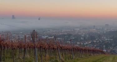 Wiener Stadtwanderweg 1