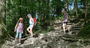 Zu Beginn geht es über einen spannenden Wurzelweg abwärts.