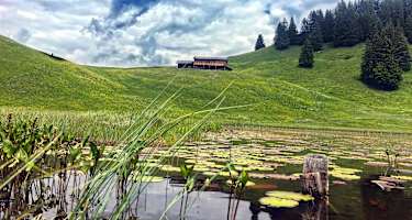 Idylle am Stelsersee