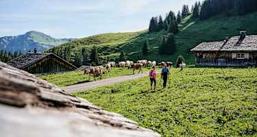 Auf dem Weg zur Alpe Steris