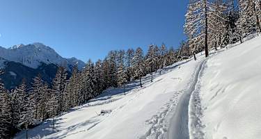 Da werden Wintermärchen wahr: Auf dem Weg zur Kaserstattalm im Stubaital