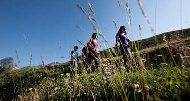 Ein Spass für die ganze Familie.